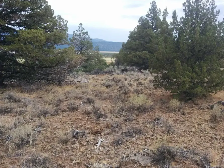 0 Street, Susanville, CA 96130 - Image #3