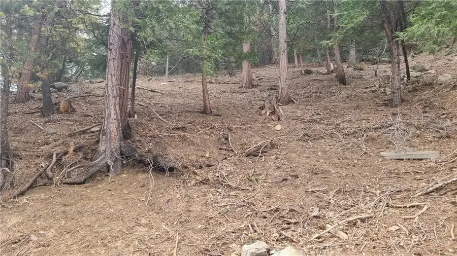 60 Lausanne, Crestline, CA 92325 - #2