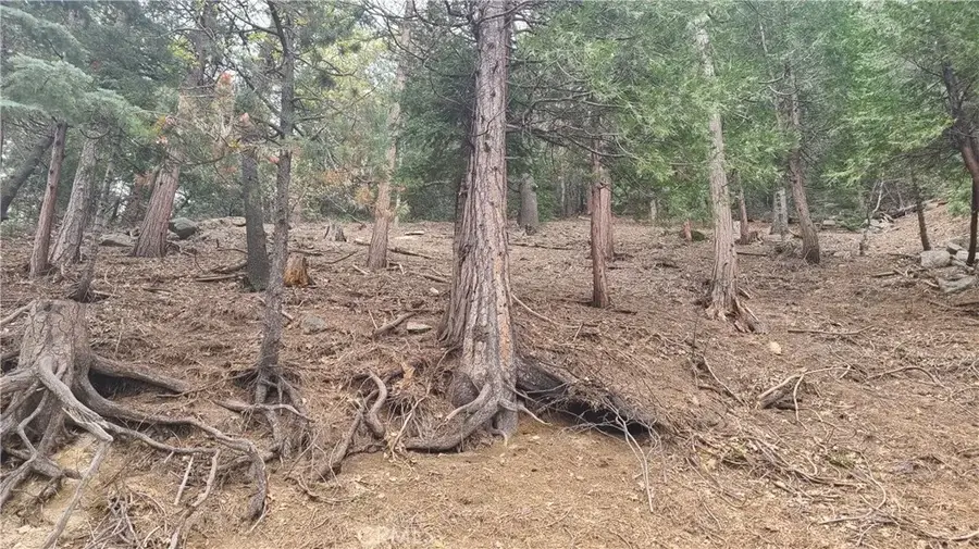 60 Lausanne, Crestline, CA 92325 - #3