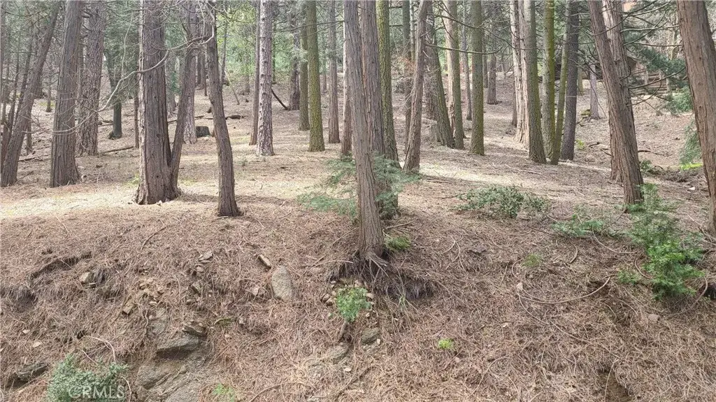 44 Reservoir, Cedarpines Park, CA 92322 - #1