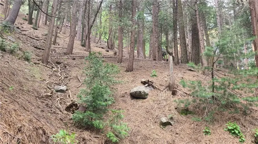 44 Reservoir, Cedarpines Park, CA 92322 - #2