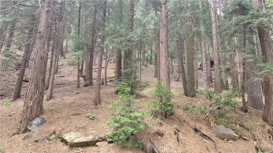 44 Reservoir, Cedarpines Park, CA 92322 - #3