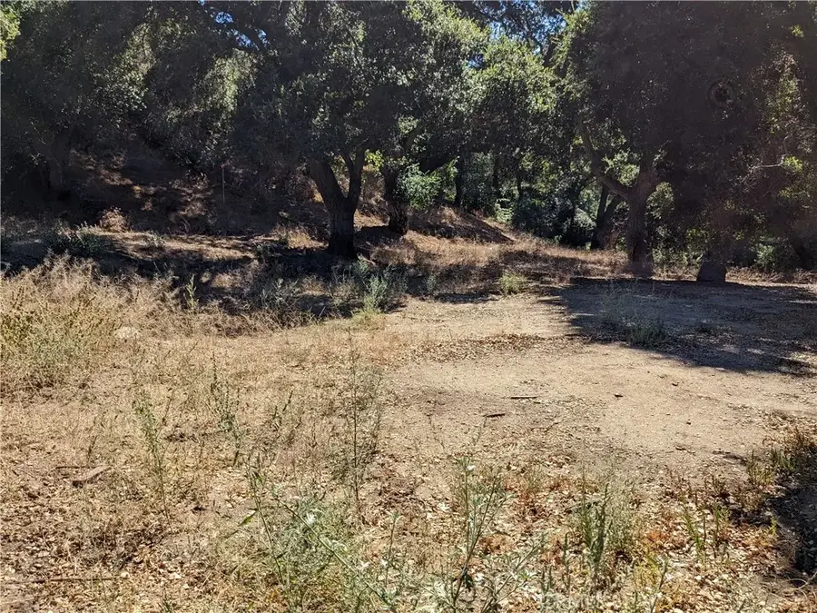 0 San Francisquito Cyn, Santa Clarita, CA 91350 - #3