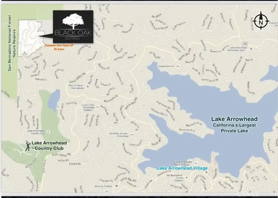 0 Black Oaks, Lake Arrowhead, CA 92352 - Image #3