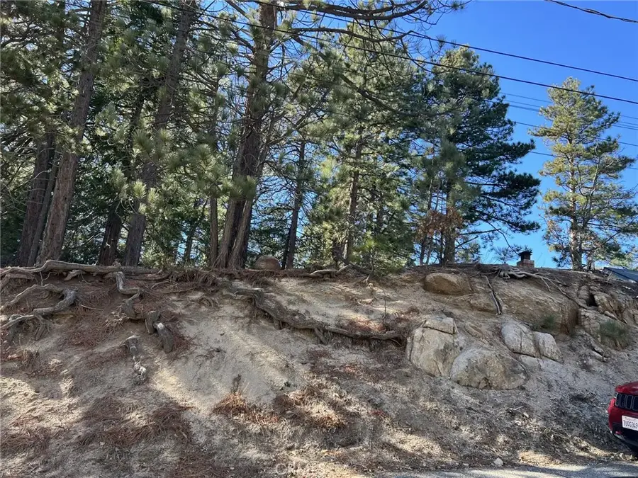 2686 Viking, Running Springs, CA 92382 - #2