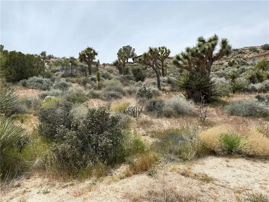 0 Farrelo, Yucca Valley, CA 92284 - #3