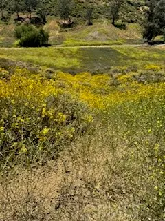 0 Mcburney Ave, Lake Elsinore, CA 92530 - #3