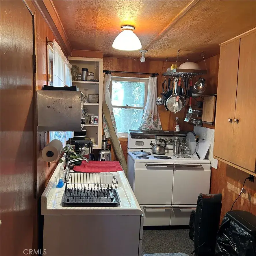 119 Barton Flats Trail, Angelus Oaks, CA 92305 - Image #2