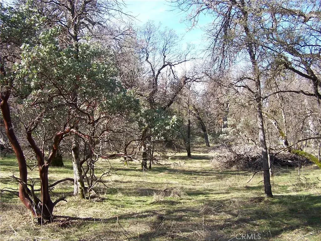 1 Jean Rd West, Oakhurst, CA 93644 - Image #1