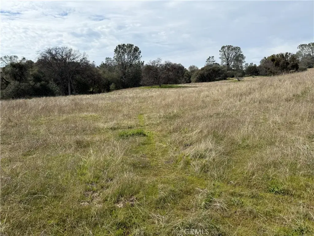 64 Victoria, Oakhurst, CA 93644 - Image #1