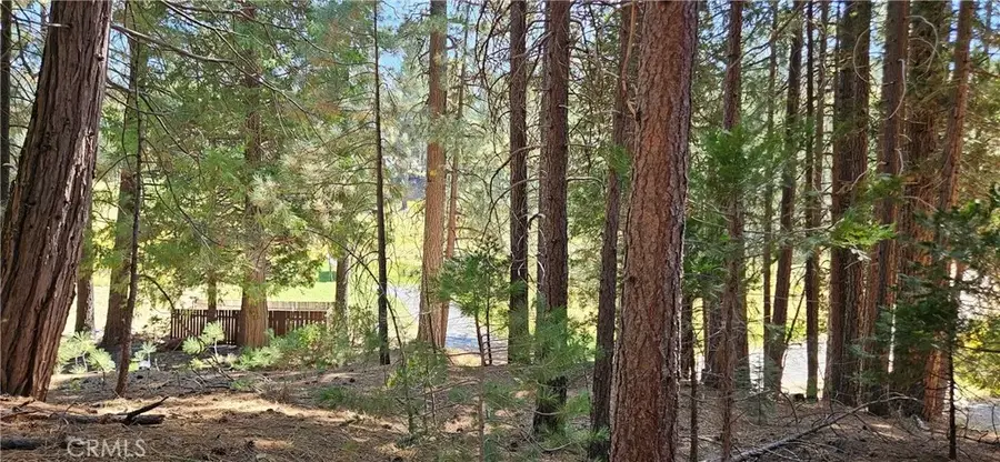 108 Forest, North Fork, CA 93643 - Image #2