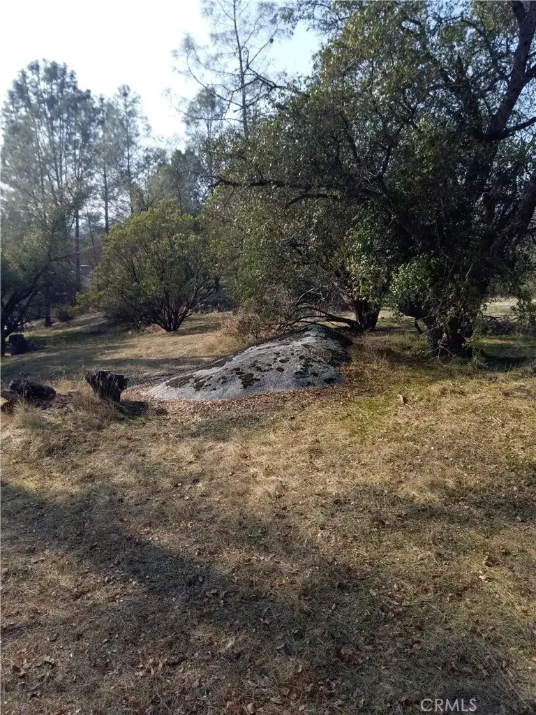 0 Deep Forest, Coarsegold, CA 93614 - #3