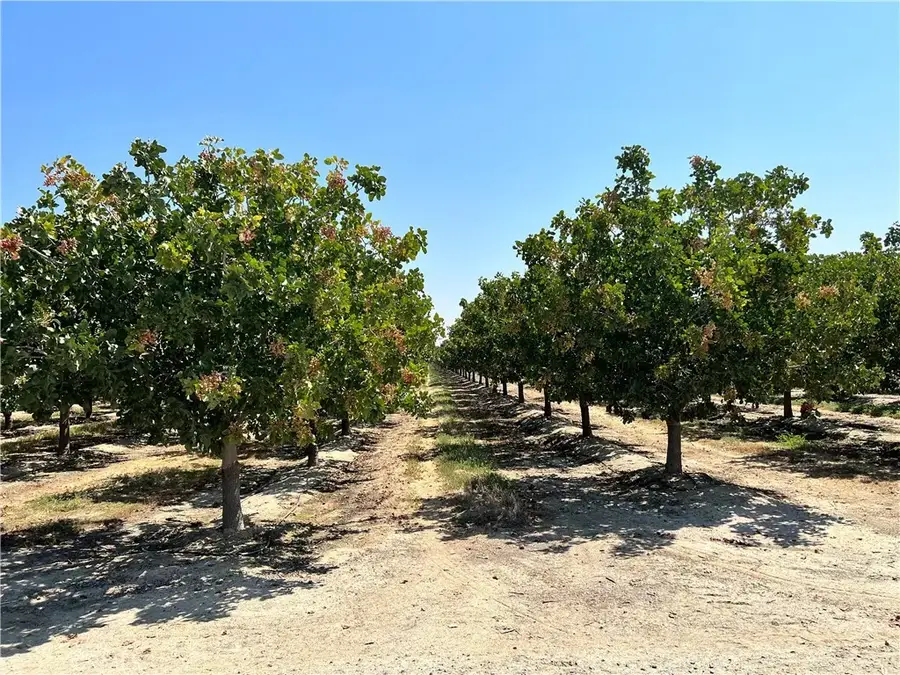 10975 Avenue 16, Alpaugh, CA 93215 - Image #2