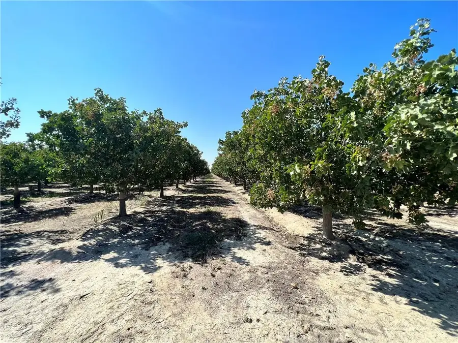 10975 Avenue 16, Alpaugh, CA 93215 - Image #3