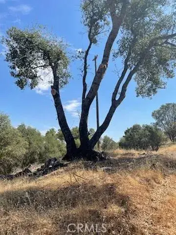 123 Jennifer, Coarsegold, CA 93614 - Image #3