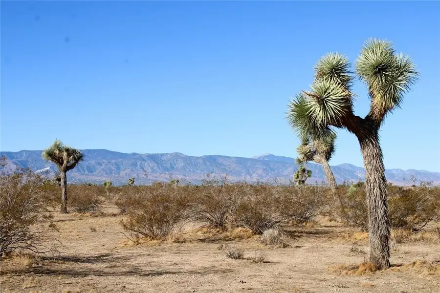 6720 Sacramento, Phelan, CA 92371 - Image #2