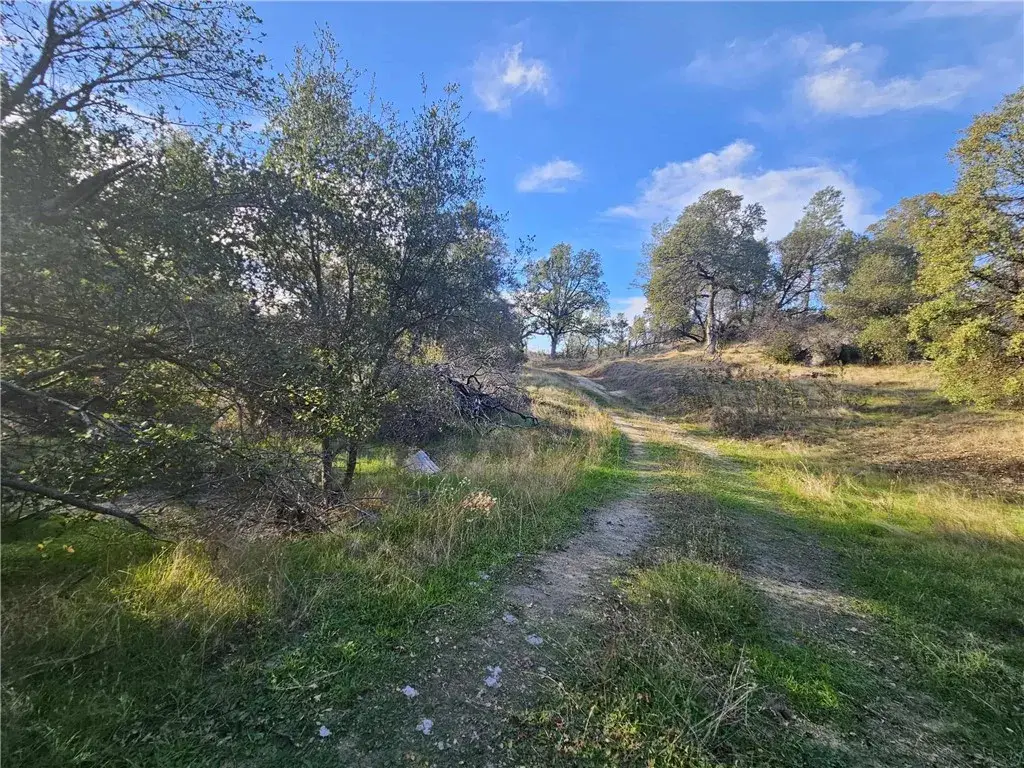 58111 Lark, North Fork, CA 93643 - Image #1