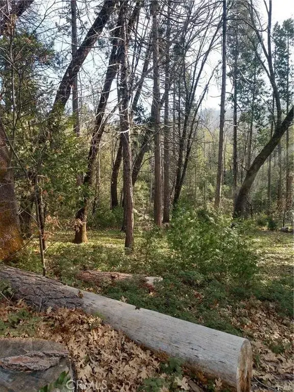 8 Cascadel South, North Fork, CA 93643 - Image #3