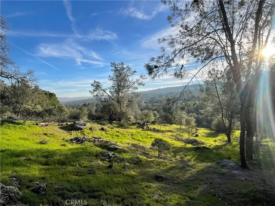 1220 Corral, Coarsegold, CA 93614 - #3