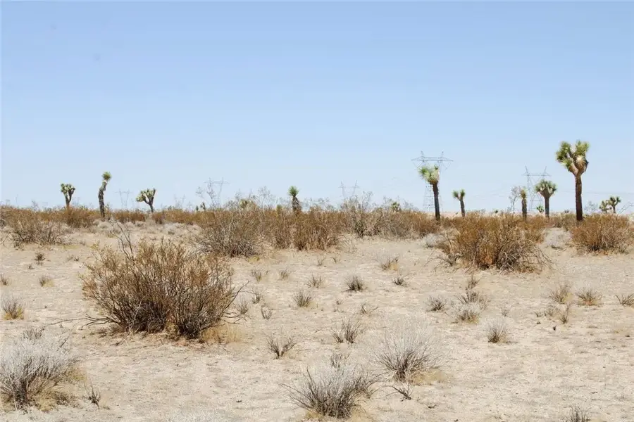 16999 Holly, Phelan, CA 92371 - #2