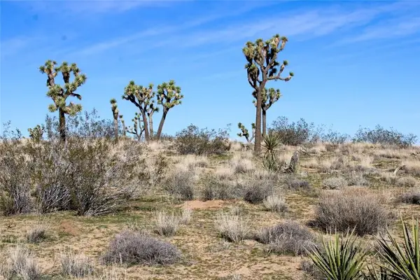 21099 Valley Vista, Yucca Valley, CA 92284