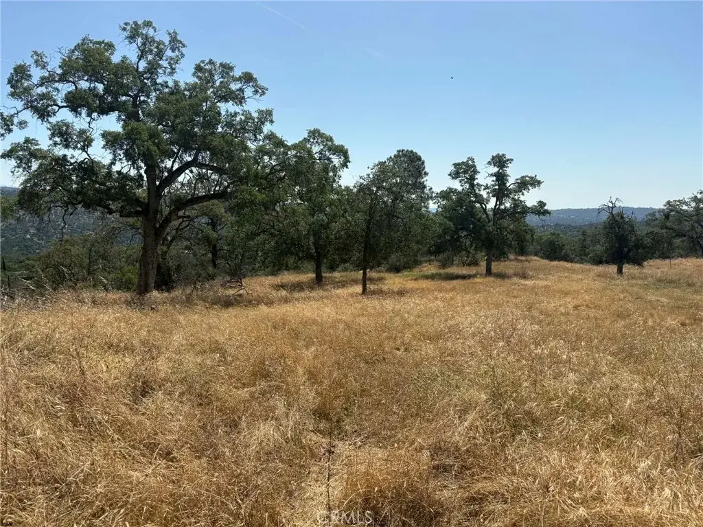 0 Lilley Mountain, Coarsegold, CA 93614 - #1