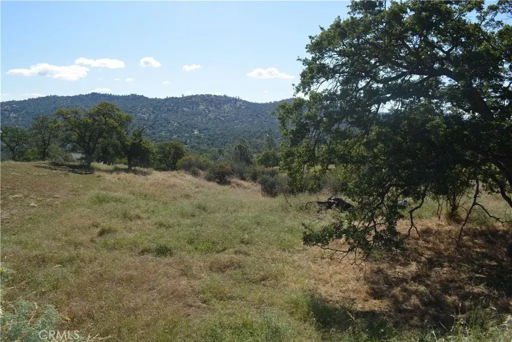 1 Corral Dr, Coarsegold, CA 93614 - #1