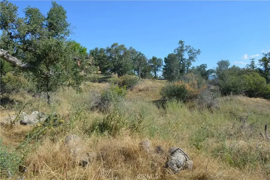 1 Corral Dr, Coarsegold, CA 93614 - #3
