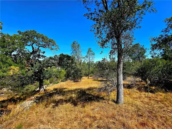 2 Corral, Coarsegold, CA 93614