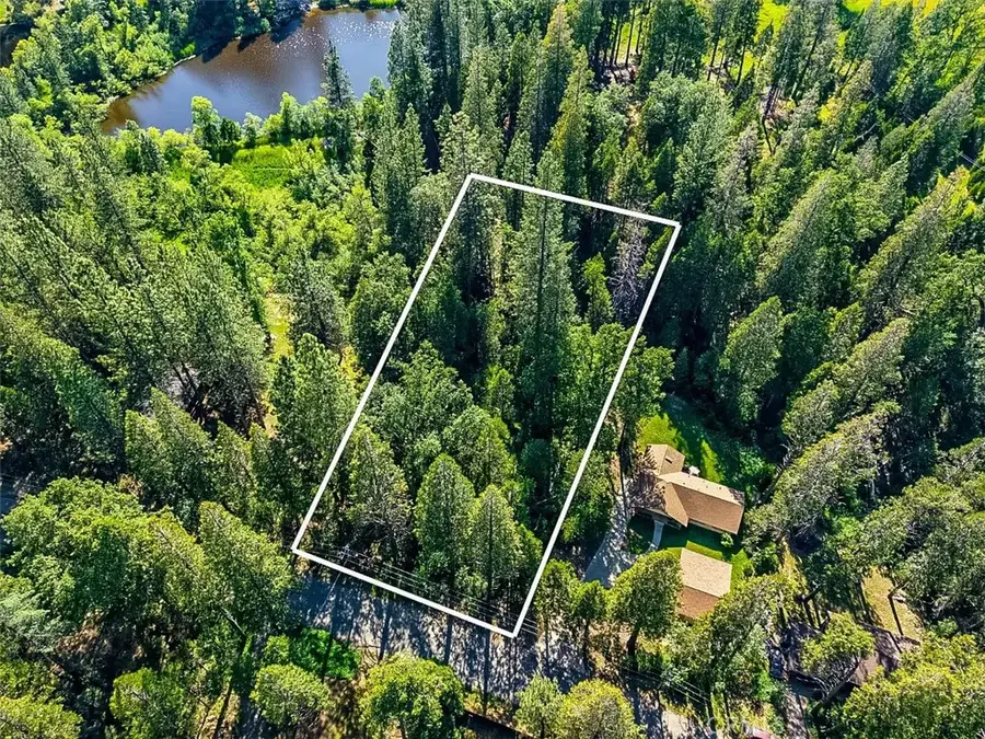 7083 Hites Cove, Mariposa, CA 95338 - #2