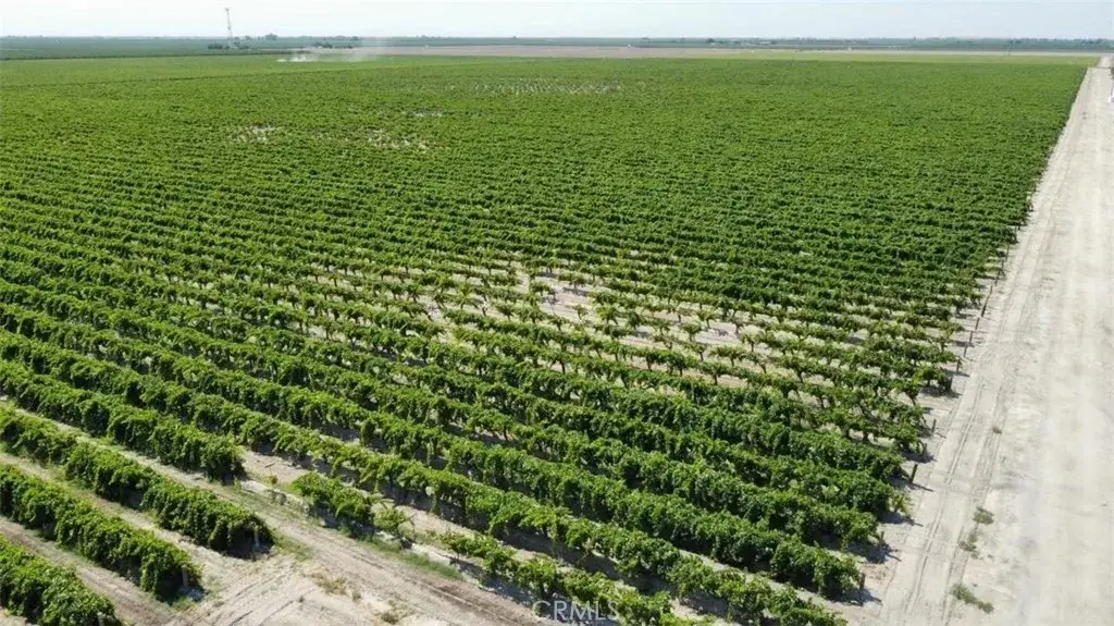 1 S Plumas, Kerman, CA 93630 - #1