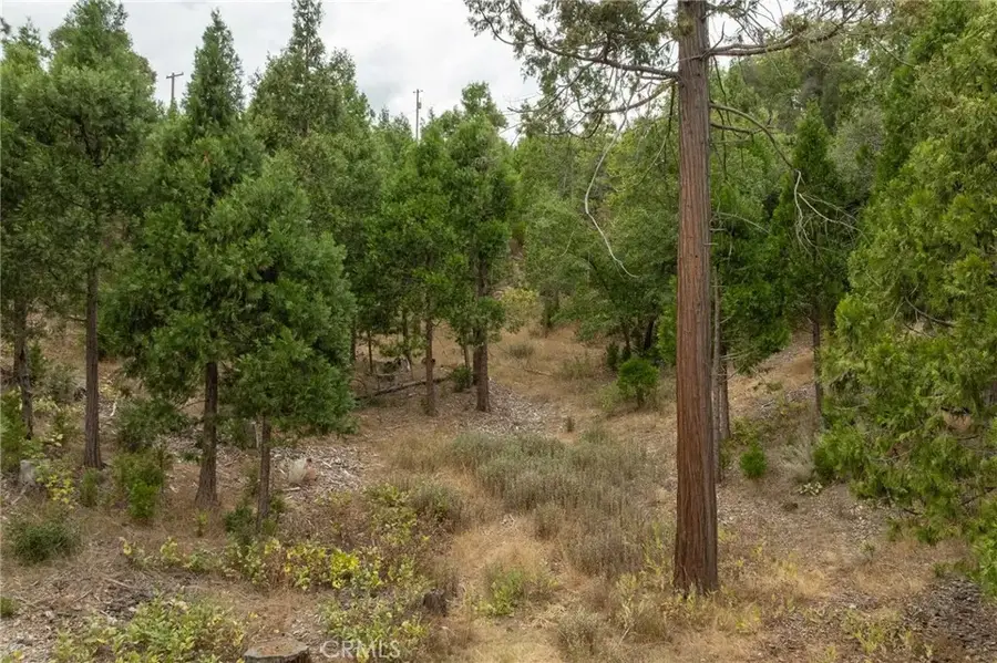 26 Timberview, North Fork, CA 93643 - #3