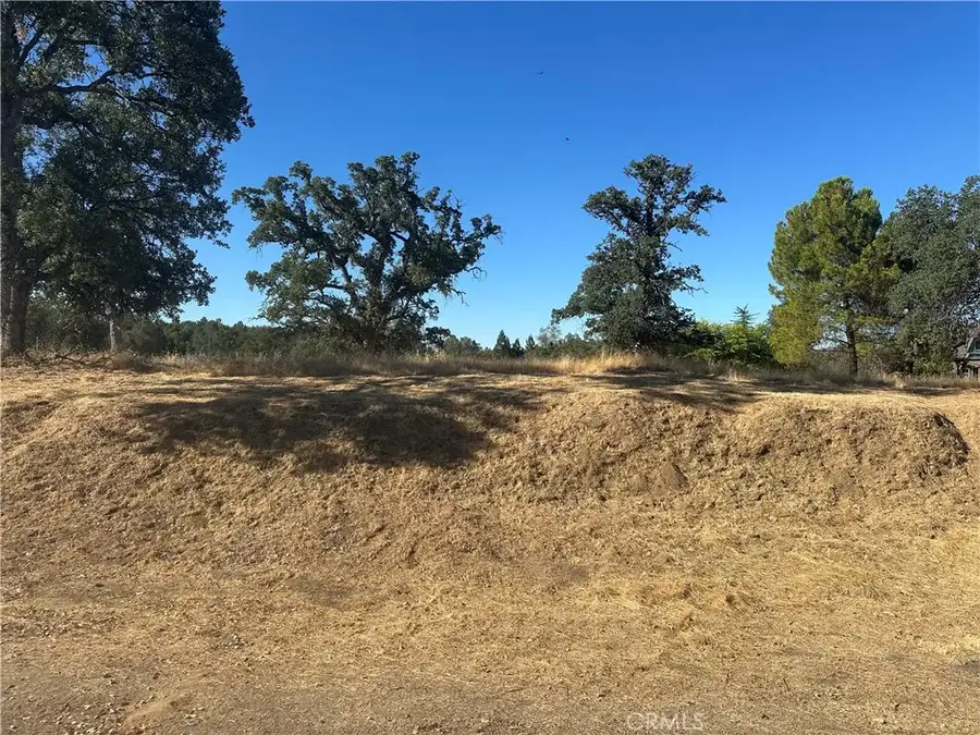 0 Revis, Coarsegold, CA 93614 - #2