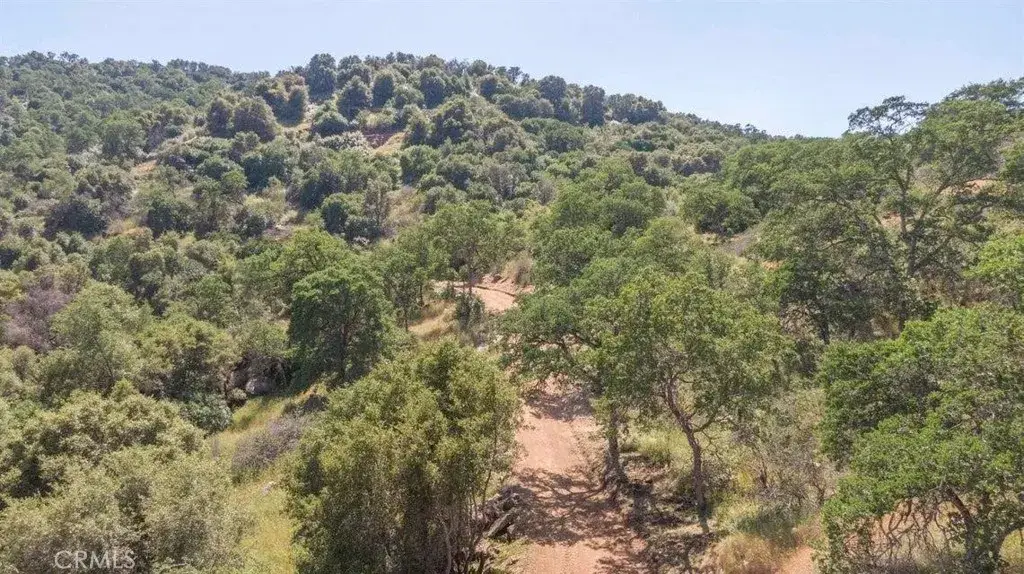 0 Ruth Hill Rd, Squaw Valley, CA 93675 - #1