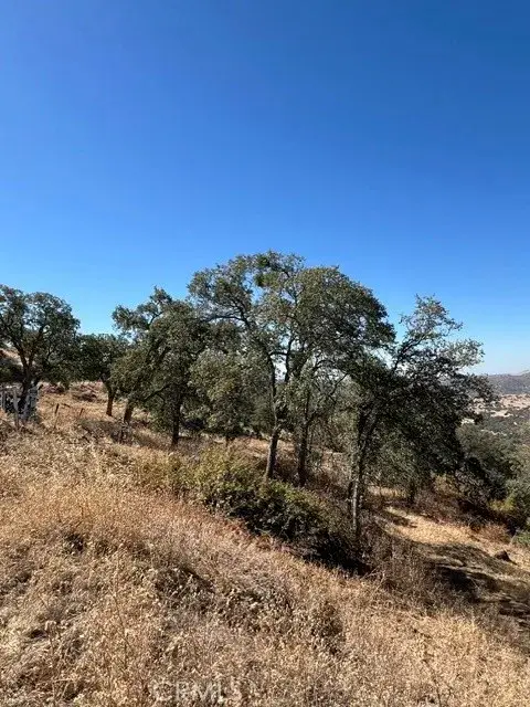 0 Thunderhill, Squaw Valley, CA 93675 - #2