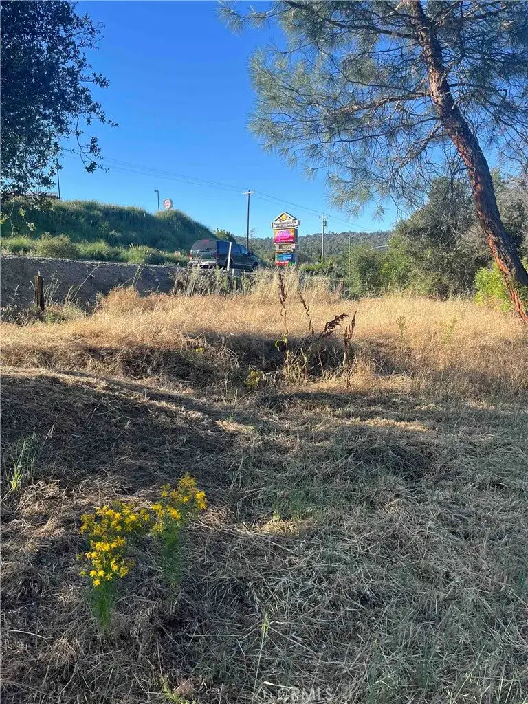 45990 Hawk Lane, Coarsegold, CA 93614 - #3