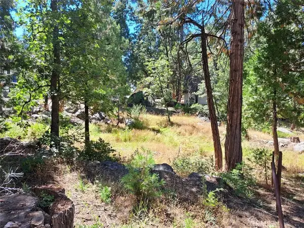 41290 Kokanee, Shaver Lake, CA 93664