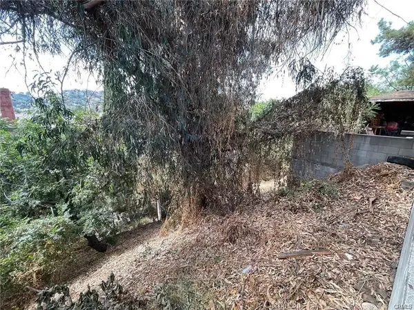 3790 Griffin, Montecito Heights, CA 90031