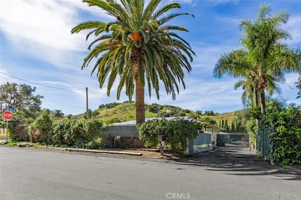 9711 Wheatland Avenue, Shadow Hills, CA 91040 - #1