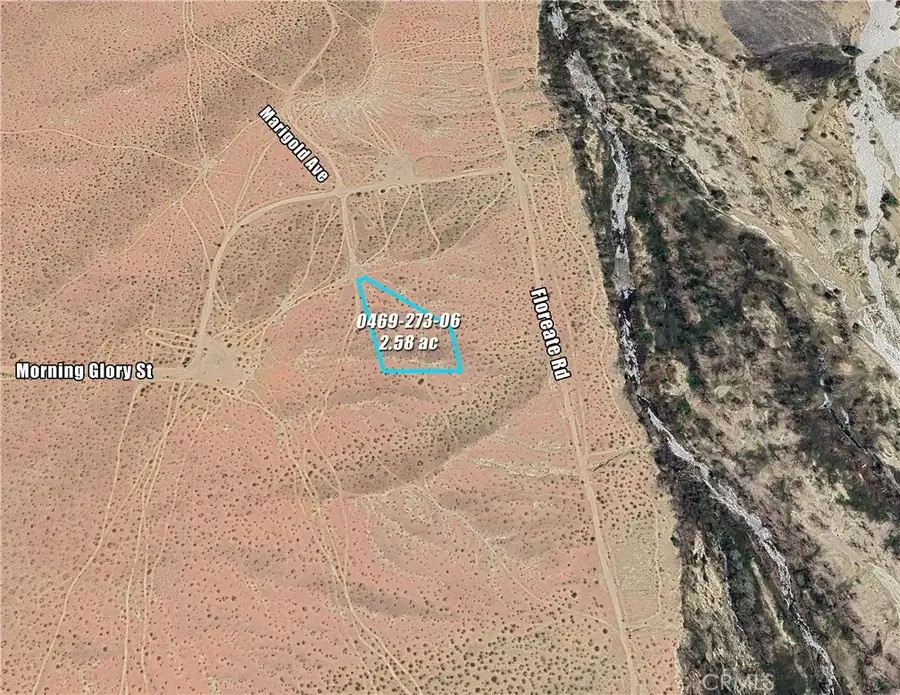 0 Marigold, Oro Grande, CA 92301 - #2