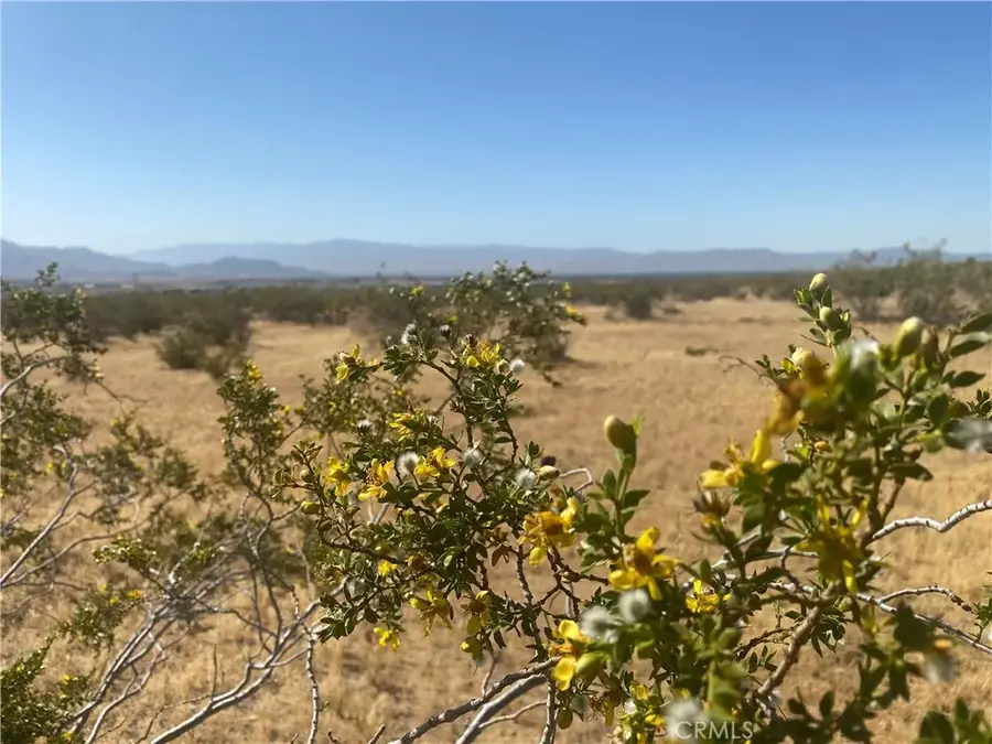 1 Falchion, Apple Valley, CA 92307 - #2