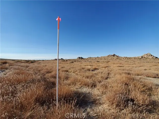 2 Near 150th, Palmdale, CA 93591 - #2