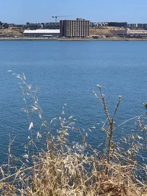 0 Hollister, San Francisco, CA 94124 - Image #3