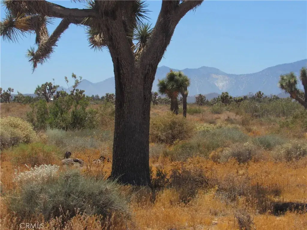 0 Goss, Phelan, CA 92371 - Image #1