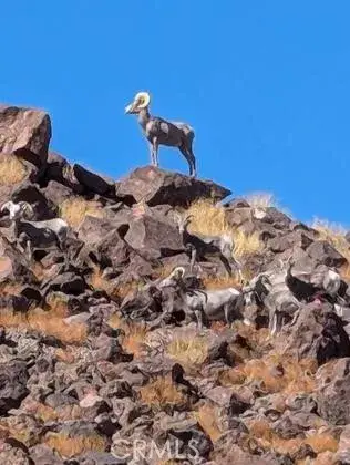 46039 Valley Center, Newberry Springs, CA 92365 - Image #2