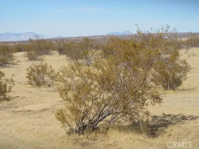 3107 Brown, California City, CA 93505 - #3