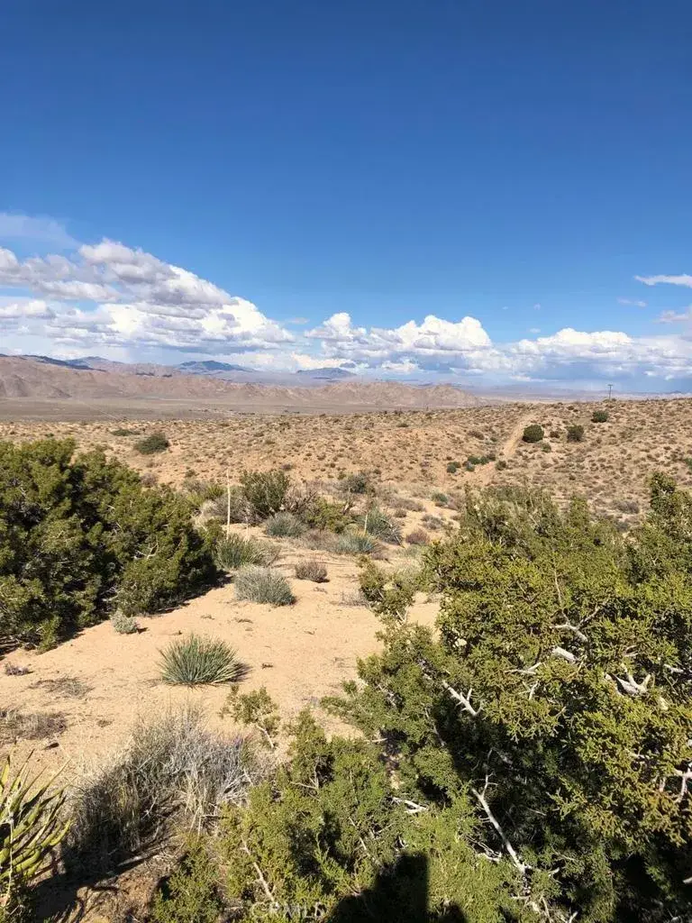 26633 Santa Rosa, Apple Valley, CA 92308 - #2