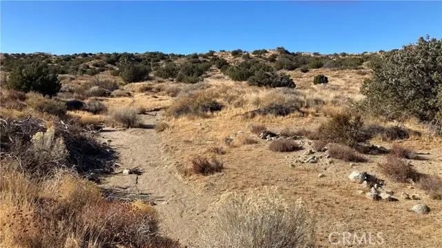 0 96th, Littlerock, CA 93543 - Image #2