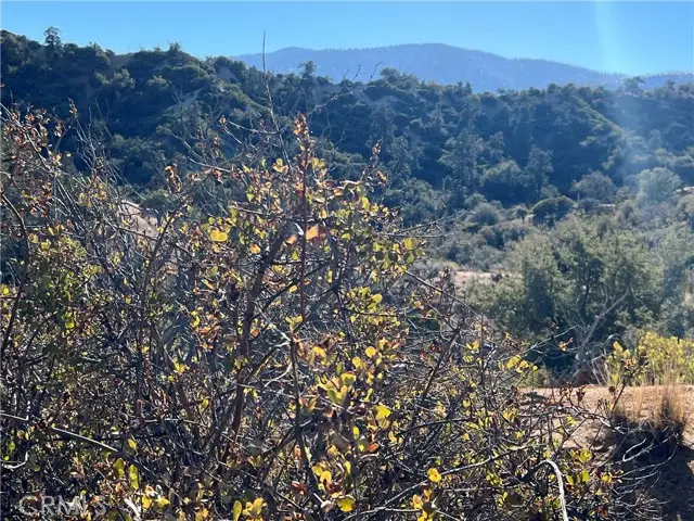 0 Whispering Pines, Hume, CA 92372 - Image #2