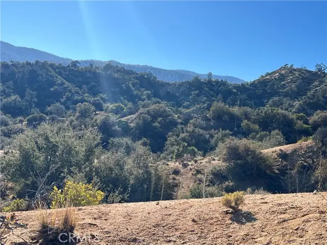 0 Whispering Pines, Hume, CA 92372 - Image #3